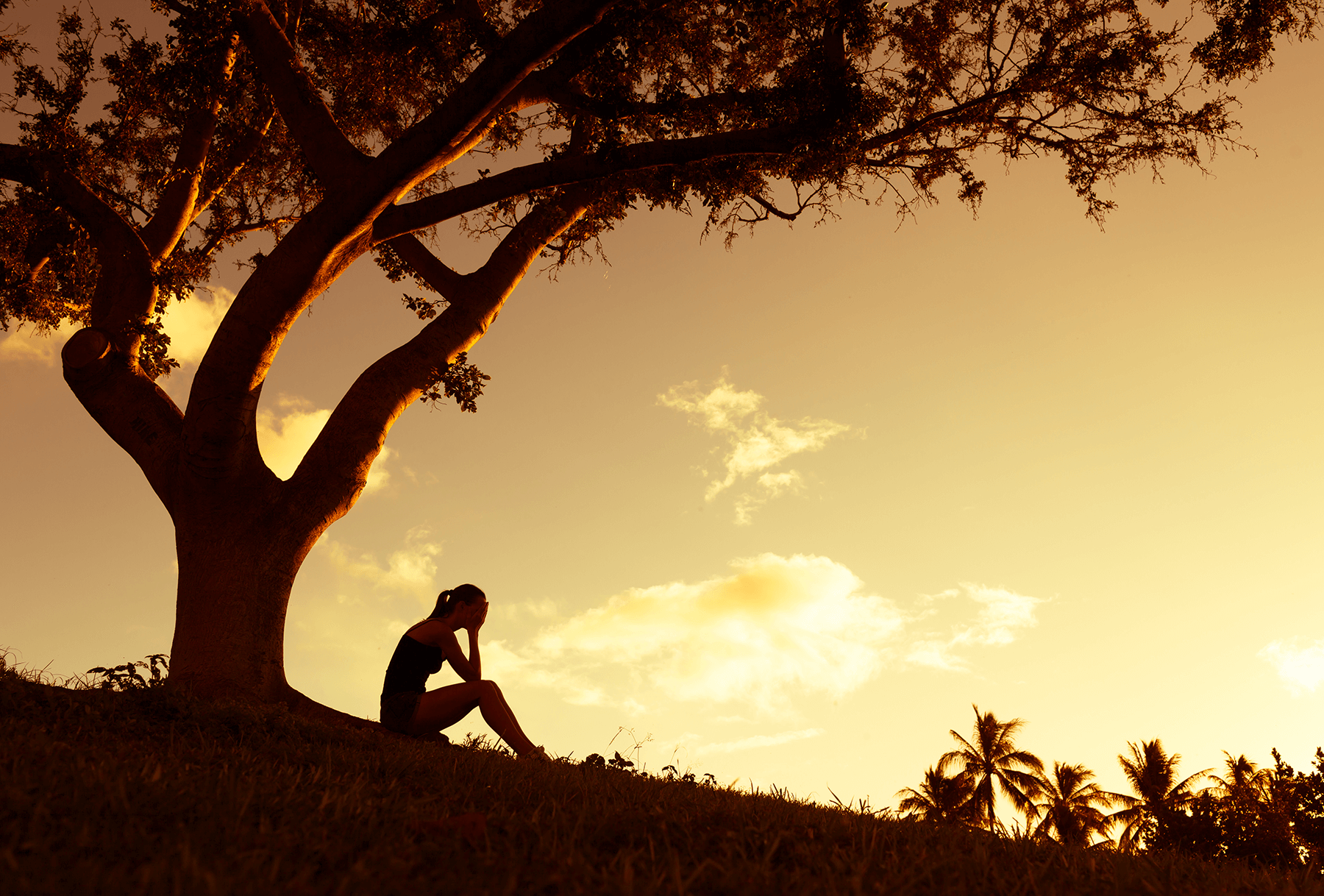 Grieving Under Tree